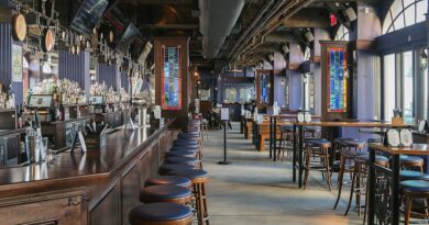 The Rise of Izakayas: Japan's Pub Culture