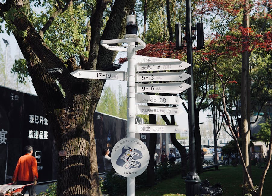 Navigating Japanese Kanji: A Beginners Guide