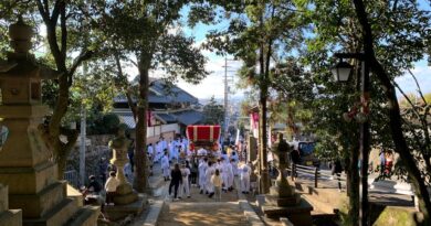 Japan's Festivals: A Feast for the Senses