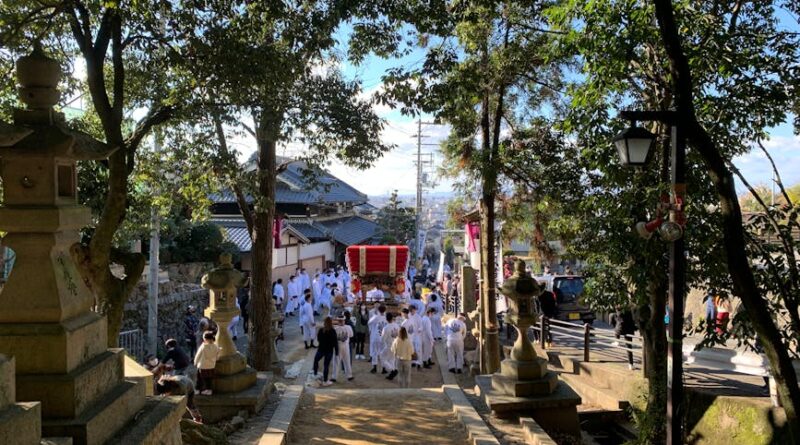 Japan's Festivals: A Feast for the Senses